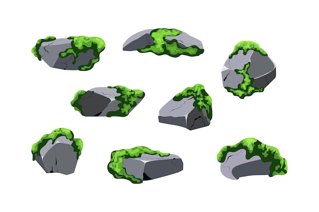 Coleção de pedras de várias formas e moosseixos costeirospedras de cascalhominerais e formações geológicasfragmentos de rochapedregulhos e material de construção