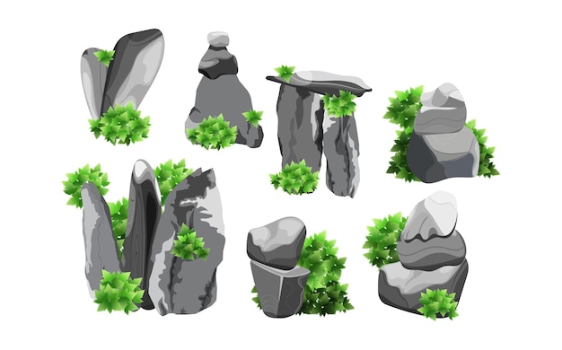 Coleção de pedras e plantas de várias formas.