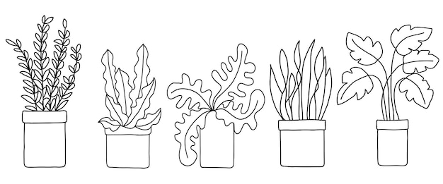 Coleção de plantas de árvores desenhadas à mão ilustração vetorial em estilo de arte doodle em fundo branco