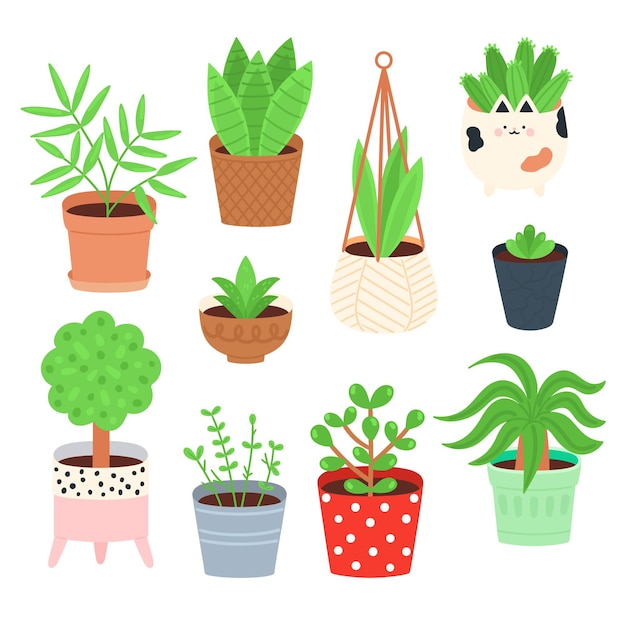 Coleção de plantas de casa desenhada à mão