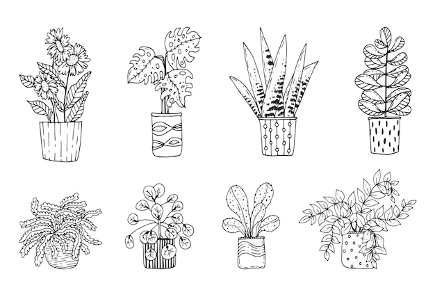 Coleção de plantas de casa desenhada à mão