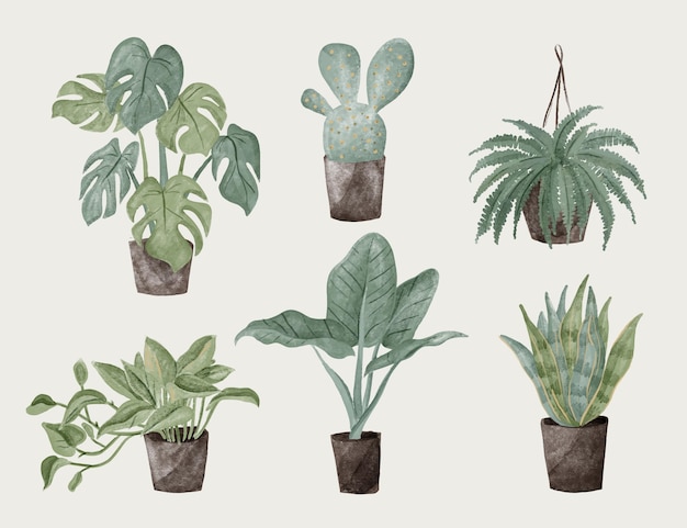 Coleção de plantas de casa pintadas à mão em aquarela