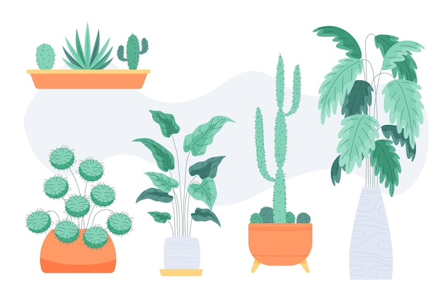 Coleção de plantas de casa planas orgânicas