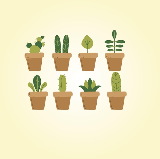 coleção de plantas de interior. Isolado no fundo branco.