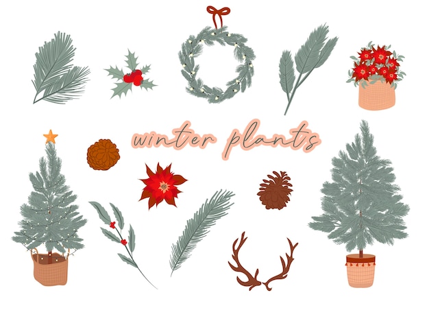 Coleção de plantas de inverno árvore de natal flor de inverno coroa de flores cone de ramo ilustração editável