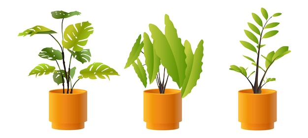 Coleção de plantas em vasos de ilustração vetorial para o interior. Isolado no fundo branco.