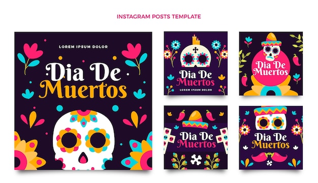 Vetor coleção de postagens do instagram desenhada à mão com diâmetros planos planos