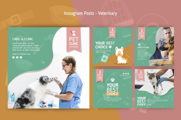 Coleção de postagens do Instagram para veterinários