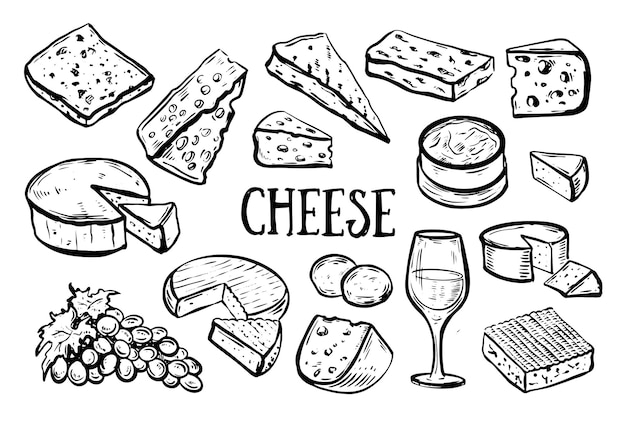 Coleção de queijos ilustração desenhada à mão