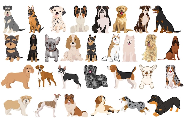 Coleção de Raças de Cães Adoráveis