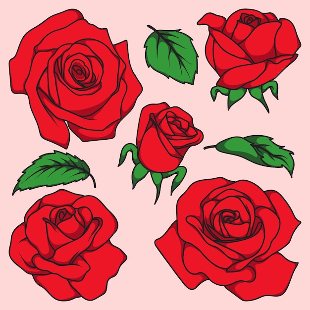 Vetor coleção de rosas desenhadas à mão