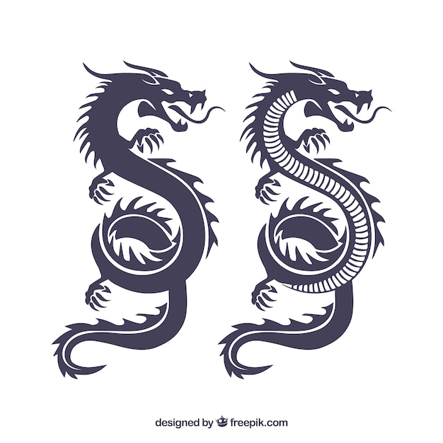 Coleção de silhueta de dragão chinês tradicional