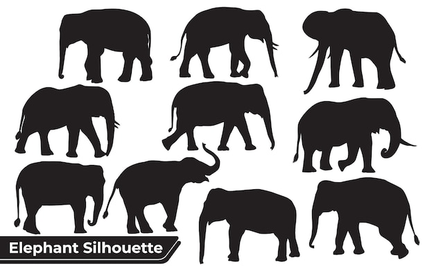 Vetor coleção de silhuetas de animais elefantes em diferentes posições