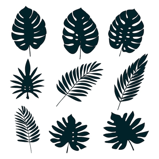 Coleção de silhuetas de folhas tropicais