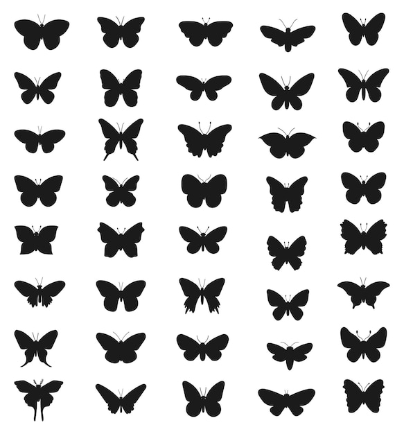 Coleção de silhuetas vetoriais isoladas planas de borboleta