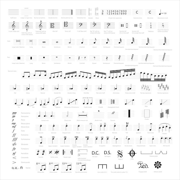 Coleção de símbolos e notas musicais notação musical