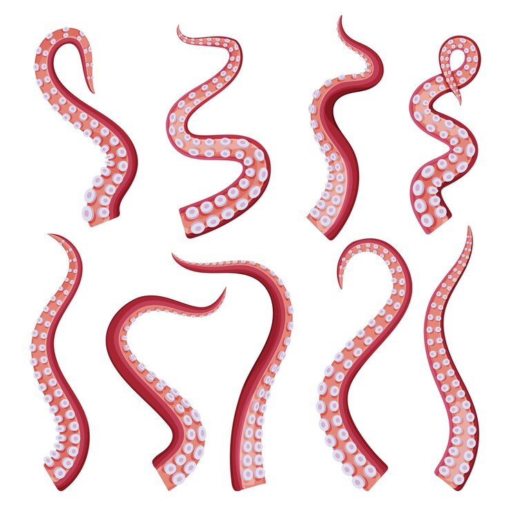 Vetor coleção de tentáculos de polvo criatura marinha subaquática parte da ilustração vetorial do corpo