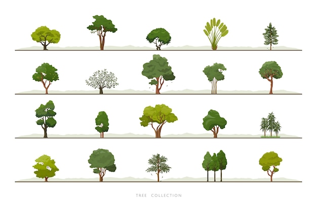 Coleção de vários ícones vetoriais de árvores verdes em fundo branco