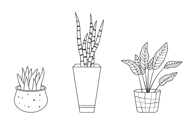 Coleção de vasos de plantas em estilo de desenho linear