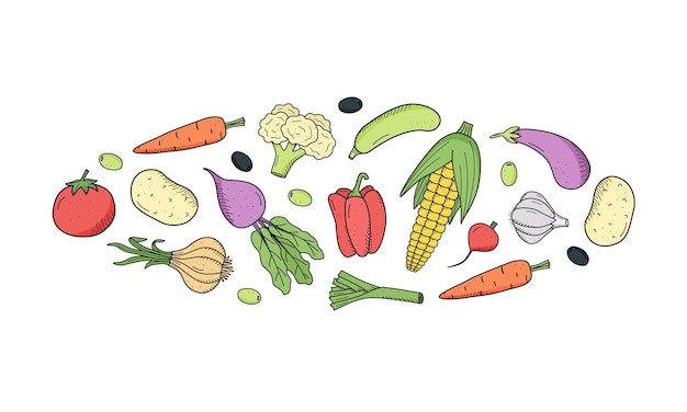 Vetor coleção de vegetais de desenho colorido em estilo doodle um conjunto de ilustrações vetoriais da colheita milho batatas cenoura rabanete beterraba alho cebola tomate etc