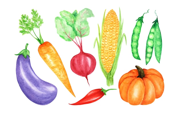 Coleção de vegetais pintada em aquarela. elementos de design de comida vegana fresca desenhada à mão