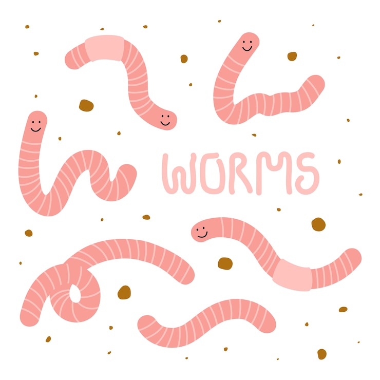 Vetor coleção de vermes fofos com rostos sorridentes um texto desenhado à mão worms vector illustration
