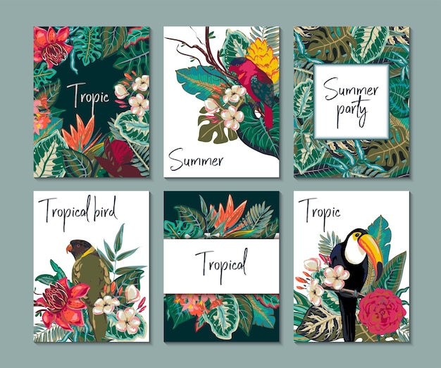 Coleção de vetores com notas de seis cartas e banners com flores exóticas de tucano