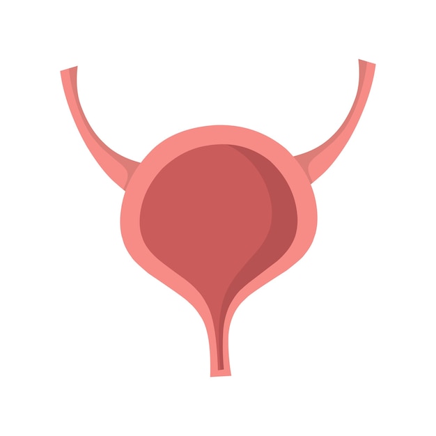 Coleção de vetores de anatomia humana