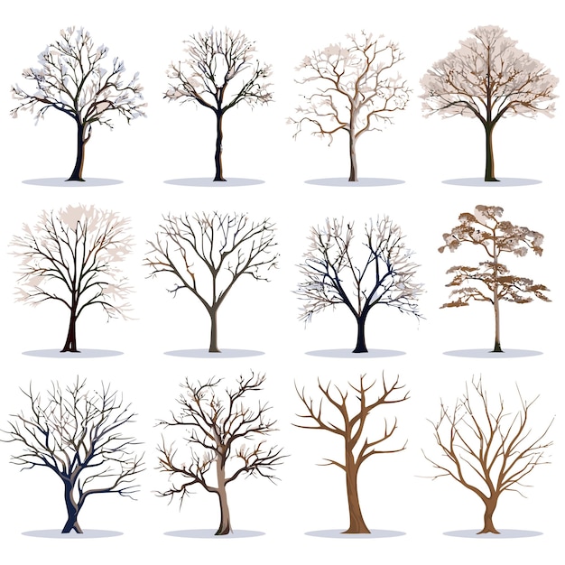 Coleção de vetores de árvores de inverno