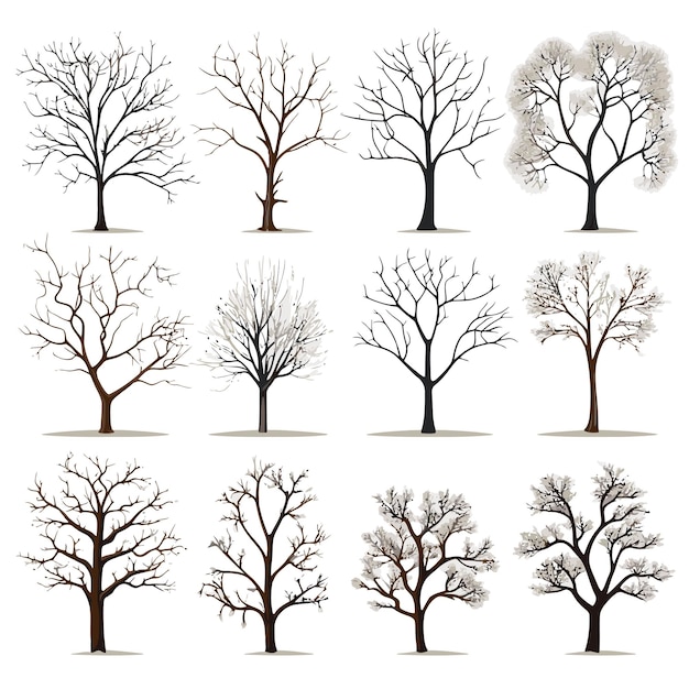 Coleção de vetores de árvores de inverno