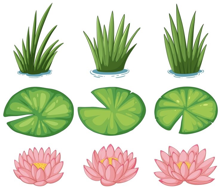 Vetor coleção de vetores de plantas aquáticas serenas