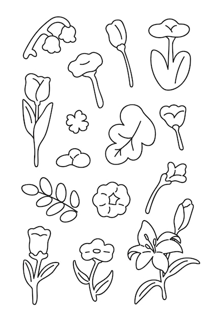 Coleção desenhada de flores desenhadas à mão