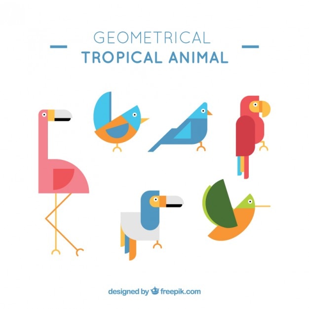 Coleção do animal tropical geométrica