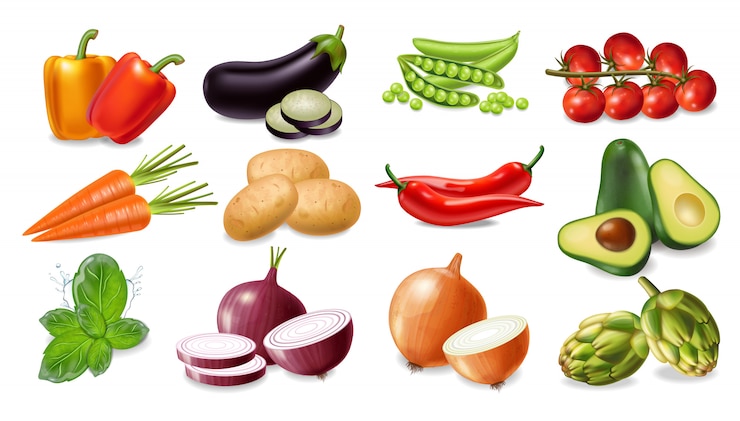 Vetor coleção dos vegetais