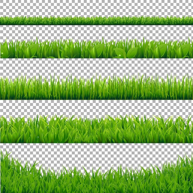 Coleção green grass borders, isolada em transparente