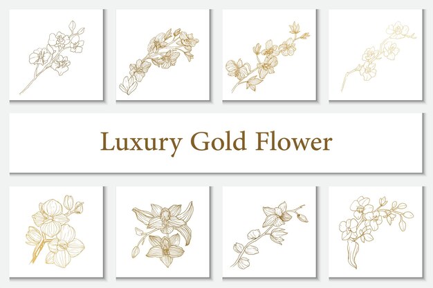 Coleção luxuosa flor de ouro elemento linha arte ilustração