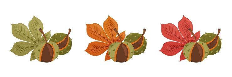 Vetor coleção outono de castanhas com folhas