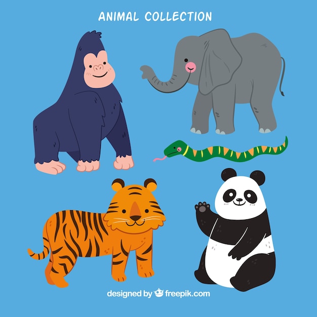 Coleção plana de animais da selva