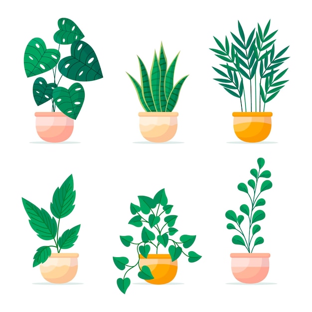 Coleção plana de plantas de casa