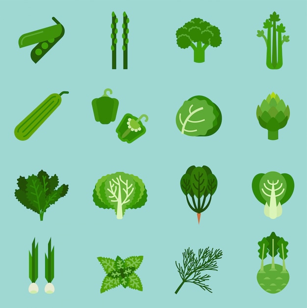 Vetor coleção verde dos vegetais, alimento gráfico da informação, ilustração do vetor.