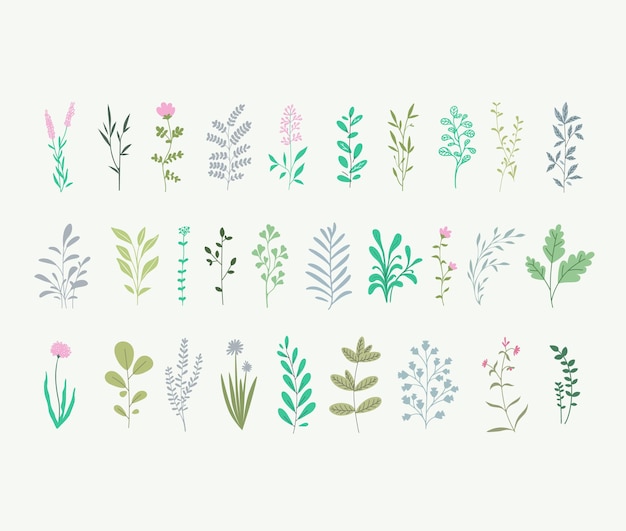 Coleção vetorial de plantas florestas ervas tropicais folhas flores conjunto botânico cores pastel design minimalista Clipart para panfletos cartazes