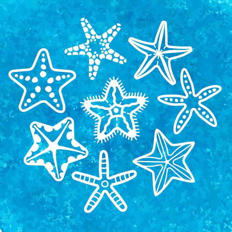 Vetor coleção vetorial de várias estrelas do mar