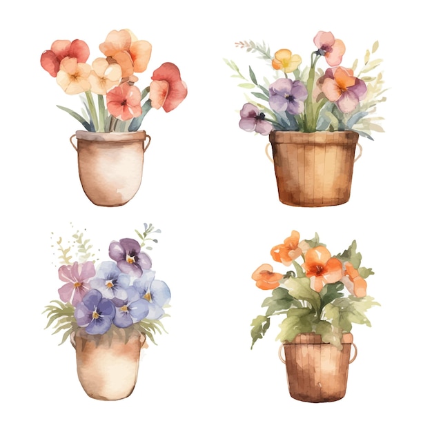 Colecção de aquarelas de flores rústicas em vaso