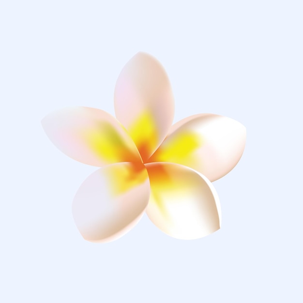 Colecção de flores de plumeria amarela vetor isolada em transparente