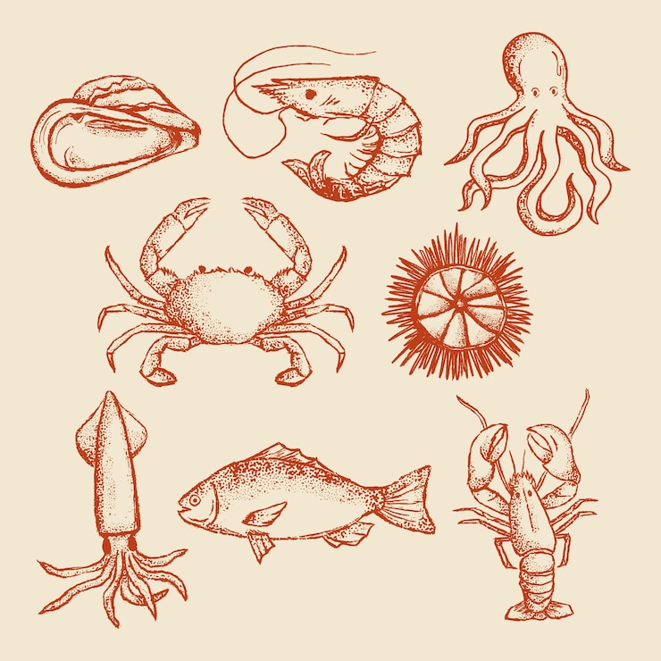 Vetor colecção de frutos do mar desenhados à mão com crustáceos e ilustrações de vida marinha para impressões