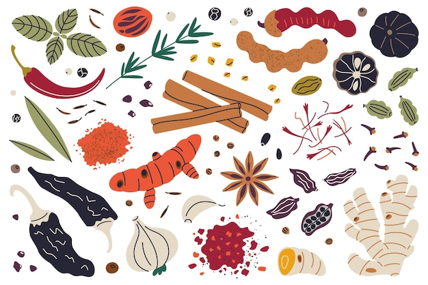 Colecção de ilustrações vetoriais conjunto de especiarias e ervas canela cúrcuma açafrão chili gengibre