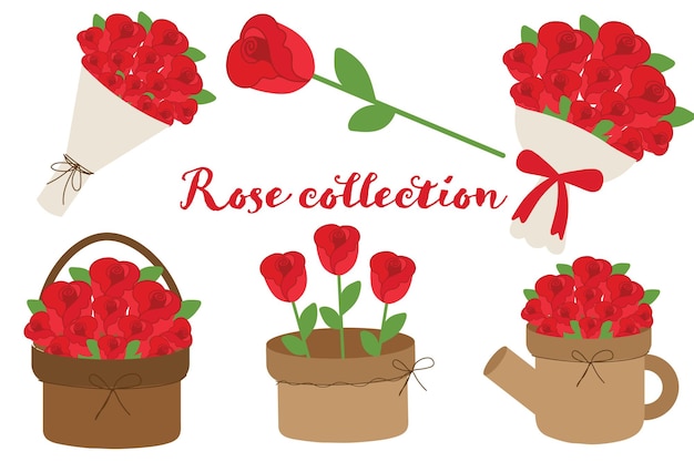 Colecção de Rosas Dia dos Namorados