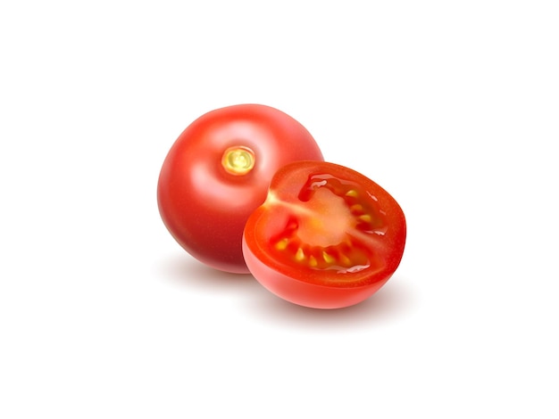 Colecção de tomates tomates vetoriais fotorrealistas em fundo transparente para alimentos e mercearia