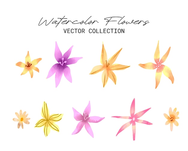 Colecção de vetores clipart de flores aquareladas