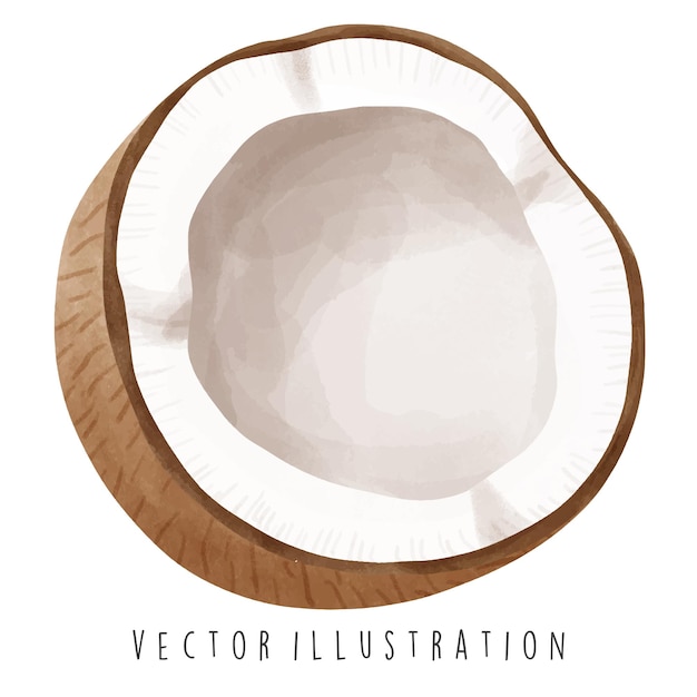 Vetor colecção de viagens da tailândia aquarela de ilustração vector de coco